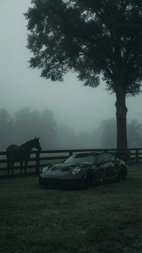 Reel-Vorschaubild: Dunkler Porsche mit grafischer Folierung unter einem Baum vor einer Pferdekoppel im Nebel